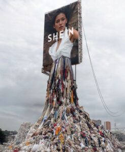 The Devastating Impact of Fast Fashion. Emanuele Morelli