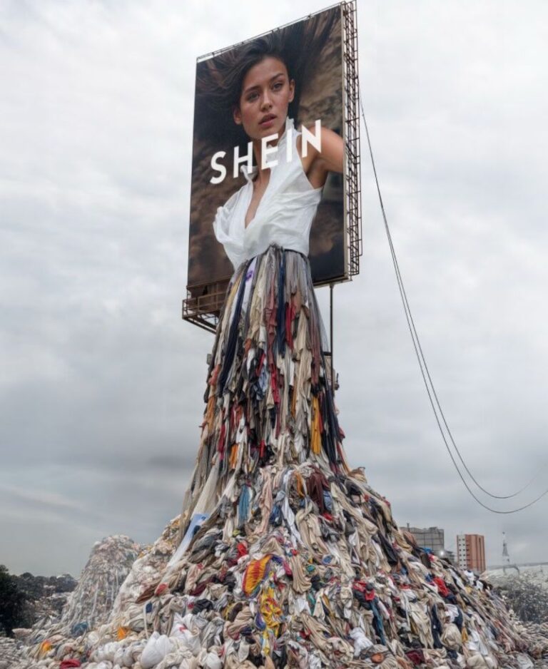 The Devastating Impact of Fast Fashion. Emanuele Morelli
