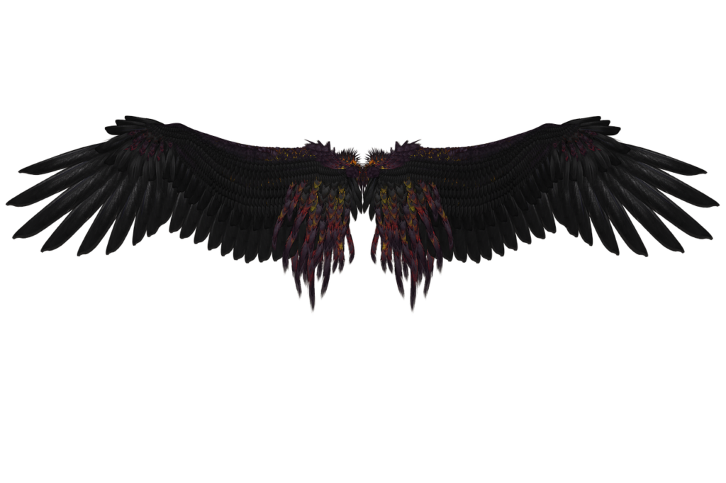 wing, feathers, angel-1657364.jpg