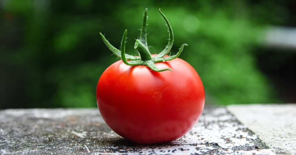 Pomodoro Technique
Photo by Avin CP on Unsplash