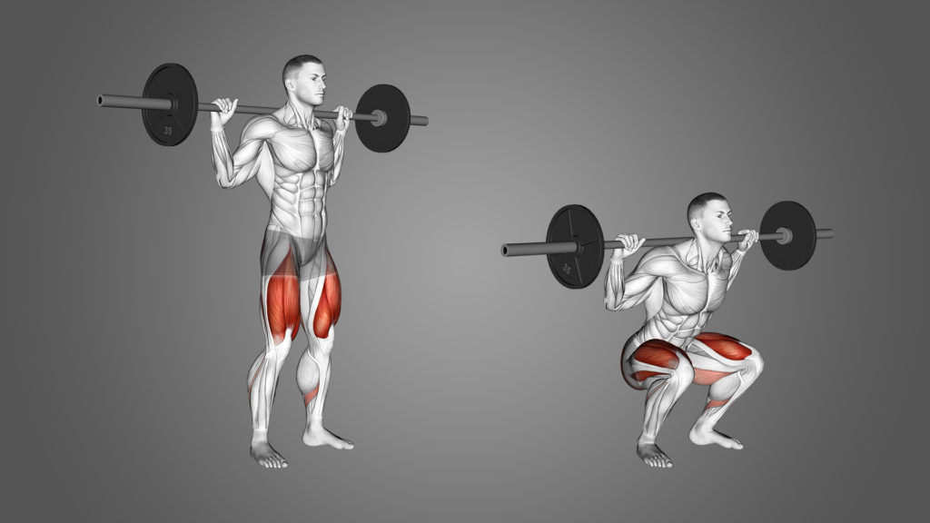 Barbell back squat