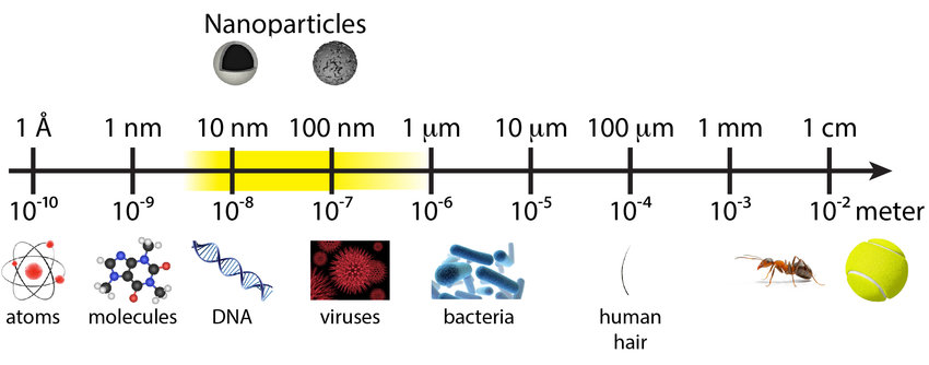 Nanoplastics Scale