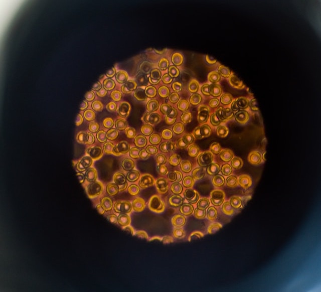 Microscopic nanoparticles