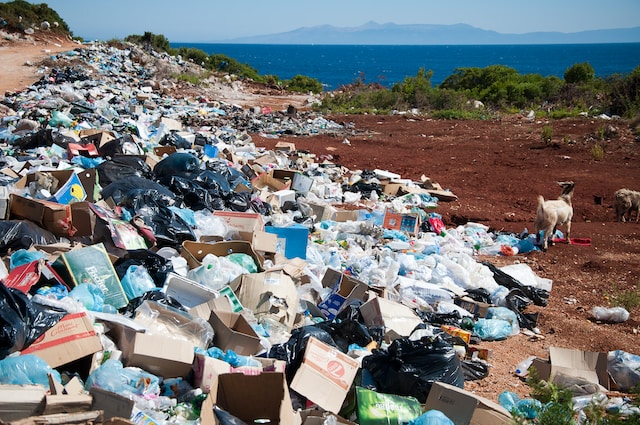 Plastic Pollution - a huge problem for us