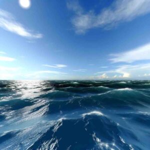 Common Myths About the Ocean