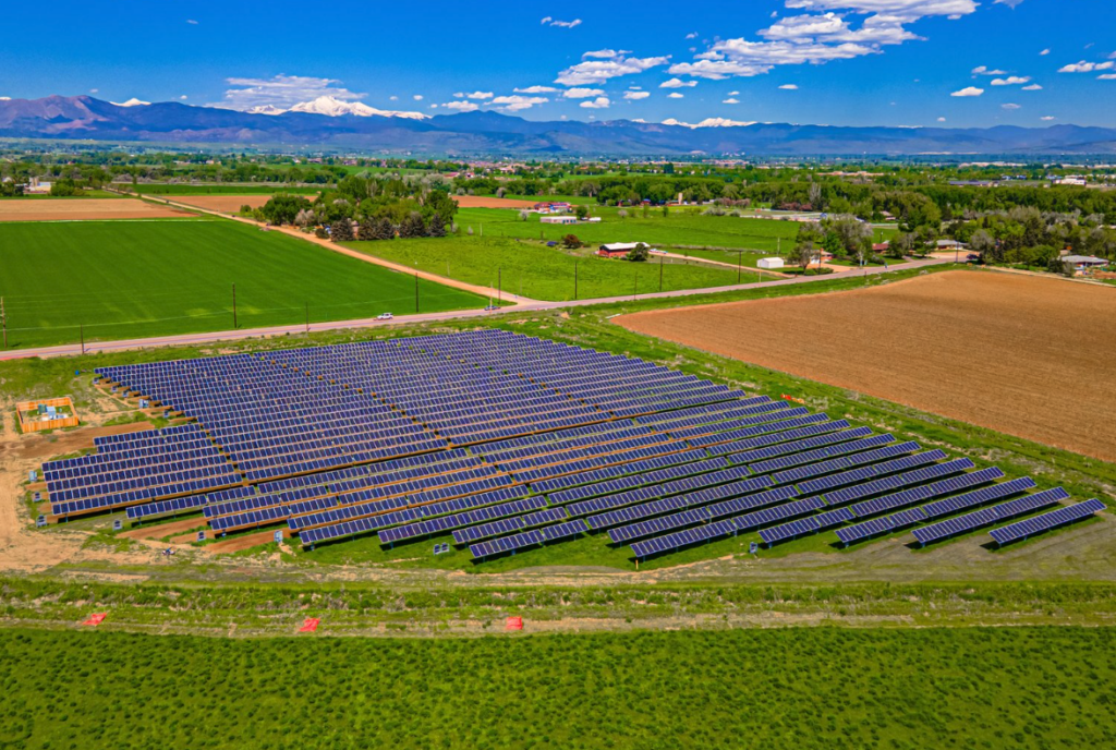 Jack’s Solar Garden