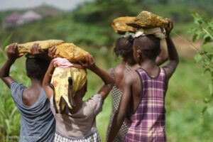 UNICEF - Child Labour