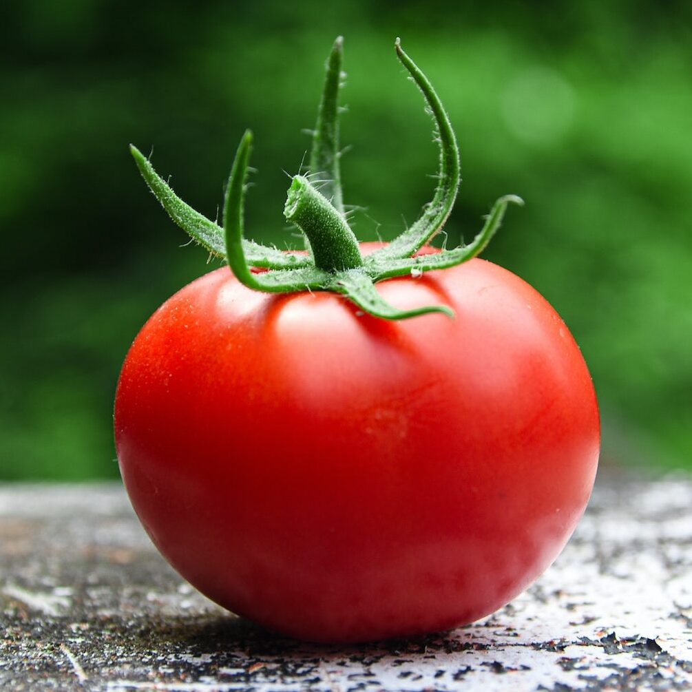 Pomodoro Technique
Photo by Avin CP on Unsplash