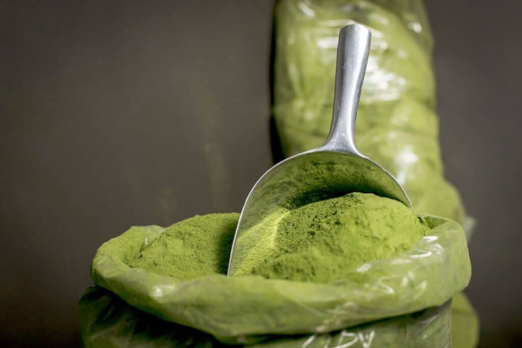 Moringa: Nature’s Ancient Water Purifier