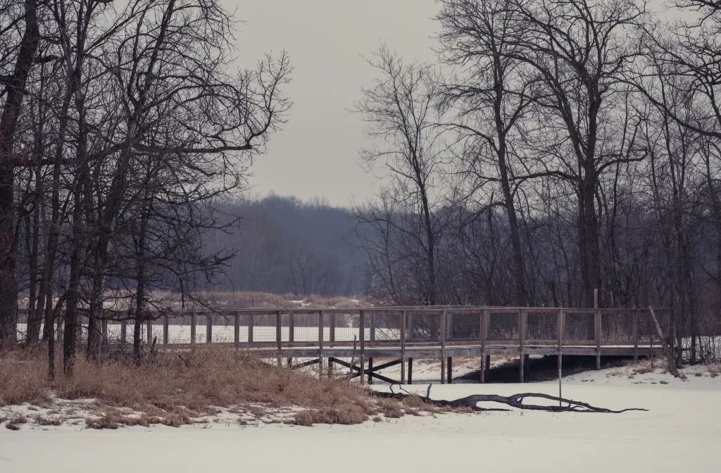 Lake Elmo